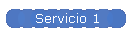 Servicio 1