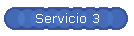 Servicio 3
